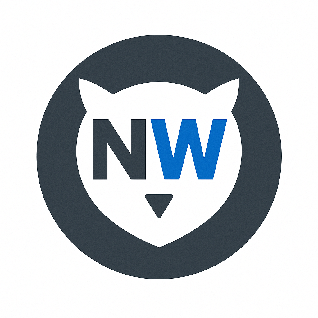 NovusWise Logo
